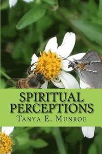 bokomslag Spiritual Perceptions