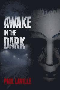 bokomslag Awake In The Dark