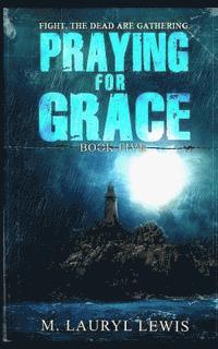 M. Lauryl Lewis - Praying for Grace, Häftad