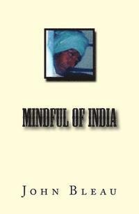 bokomslag Mindful of India