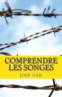 bokomslag Comprendre les songes