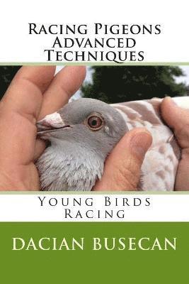 bokomslag Racing Pigeons Advanced Techniques