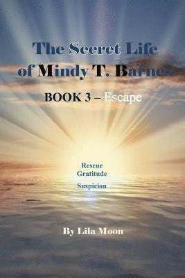 bokomslag The Secret Life of Mindy T. Barnes - BOOK 3 - Escape: Rescue, Gratitude, Suspicon