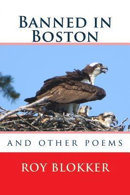 bokomslag Banned in Boston: and other poems