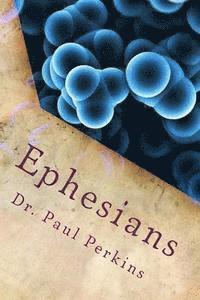 bokomslag Ephesians: The High Call Of Unity