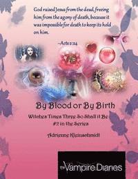 The Vampire Diaries: By Blood or by Birth 1