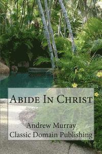 bokomslag Abide In Christ