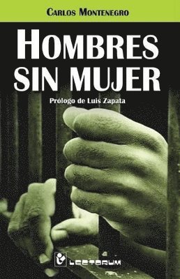 bokomslag Hombres sin mujer