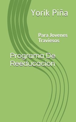 bokomslag Programa de Reeducacion: Para Jovenes Traviesos