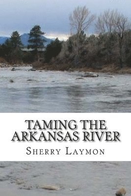 bokomslag Taming the Arkansas River