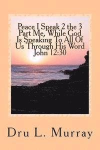 bokomslag Peace I Speak 2 The 3 Part Me, While God Is Speaking 2 All Of Us, Through His Word, John 12: 30