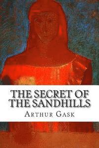bokomslag The Secret of the Sandhills