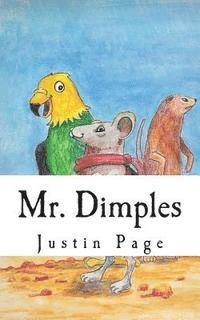 Justin Page - Mr. Dimples: The Grand Adventure, Häftad