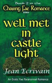 bokomslag Well Met in Castle Light: An Erotic Fae Paranormal Romance