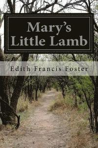 Mary's Little Lamb 1