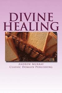 bokomslag Divine Healing