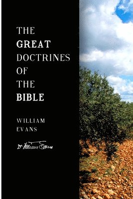 bokomslag The Great Doctrines of the Bible