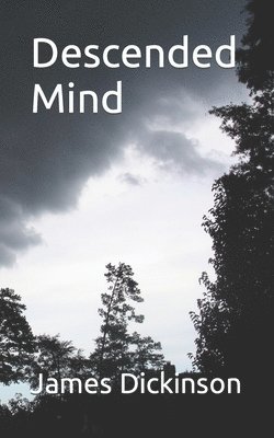 bokomslag Descended Mind
