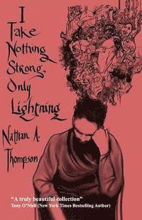 bokomslag I Take Nothing Strong, Only Lightning