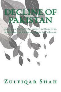 bokomslag Decline of Pakistan: Essays on federalism, ethnic-nationalism, minorities and human rights in Pakistan