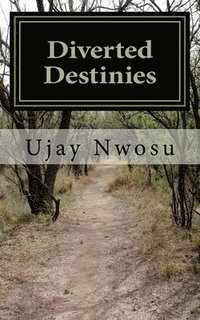 bokomslag Diverted Destinies: (Understanding The Dynamics of Your Assignment)