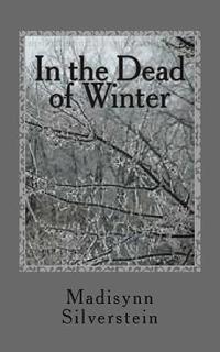 bokomslag In the Dead of Winter