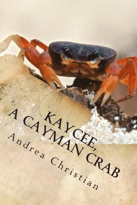 bokomslag KayCee, A Cayman Crab