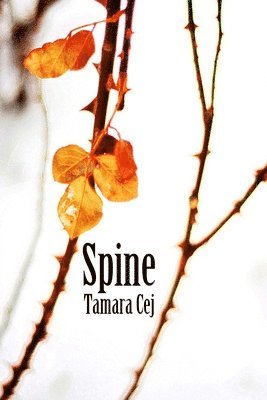 Spine 1