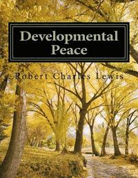 bokomslag Developmental Peace