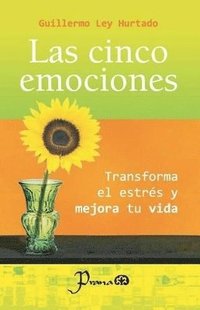 bokomslag cinco emociones