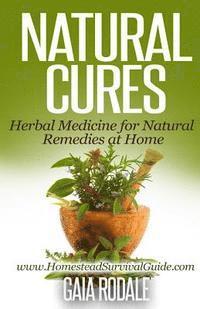 bokomslag Natural Cures: Herbal Medicine for Natural Remedies at Home