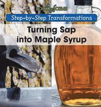 bokomslag Turning SAP Into Maple Syrup