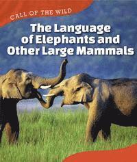 Megan Kopp - The Language of Elephants and Other Large Mammals, Häftad