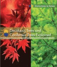 bokomslag Deciduous Trees and Coniferous Trees Explained