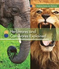 bokomslag Herbivores and Carnivores Explained