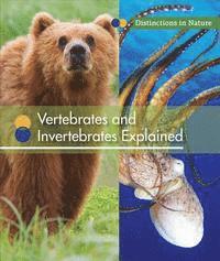 bokomslag Vertebrates and Invertebrates Explained