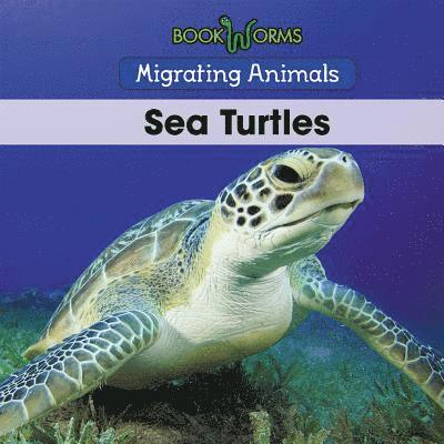 Sea Turtles 1