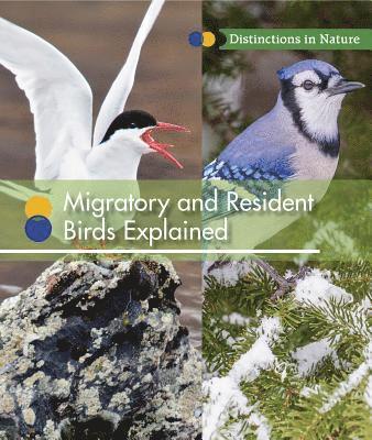 Ruth Bjorklund - Migratory and Resident Birds Explained, Häftad. Tillgänglighet: Tillfälligt slut