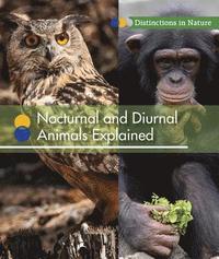 bokomslag Nocturnal and Diurnal Animals Explained