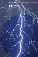 Patrice Sherman - Electricity, Inbunden