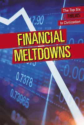 Erin L. McCoy - Financial Meltdowns, Häftad