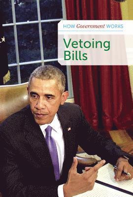 Derek Miller - Vetoing Bills, Häftad