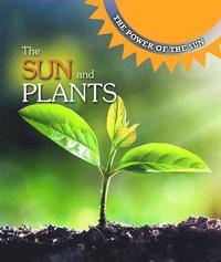 bokomslag The Sun and Plants
