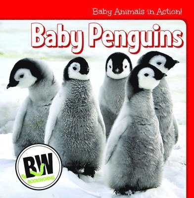 Nicole Horning - Baby Penguins, Häftad. Tillgänglighet: Tillfälligt slut