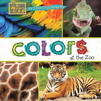 Elizabeth Morgan - Colors at the Zoo, Häftad