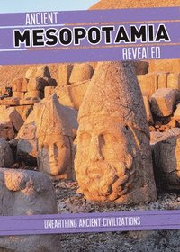 bokomslag Ancient Mesopotamia Revealed