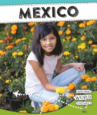 Sophie Washburne - Mexico, Inbunden