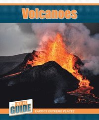 bokomslag Reynolds, D: Volcanoes