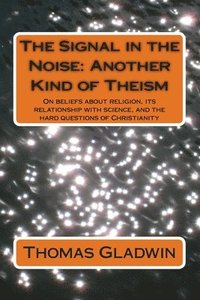 bokomslag The Signal in the Noise: Another Kind of Theism