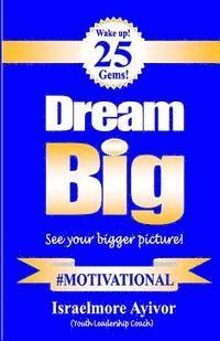 bokomslag Dream big!: See your bigger picture!